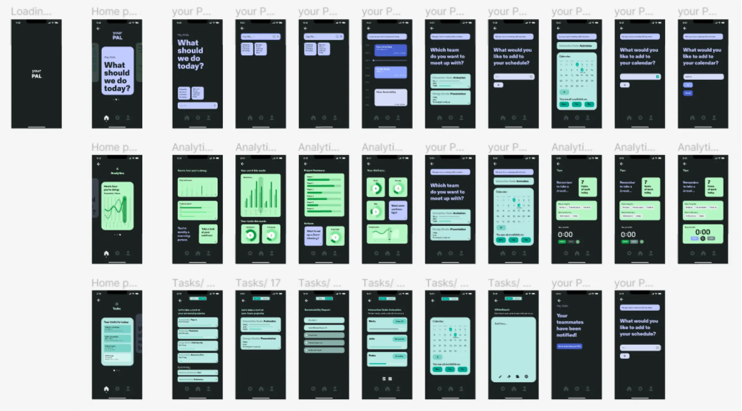 Key screens - the dashboard, the schedule, the wellness view