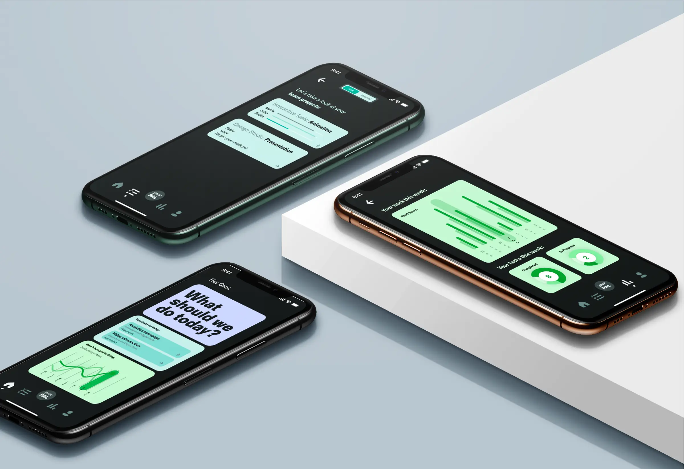 Key screens - the dashboard, the schedule, the wellness view